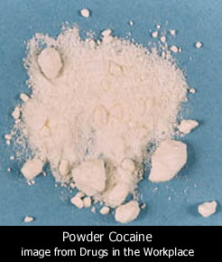 cocaine1.jpg